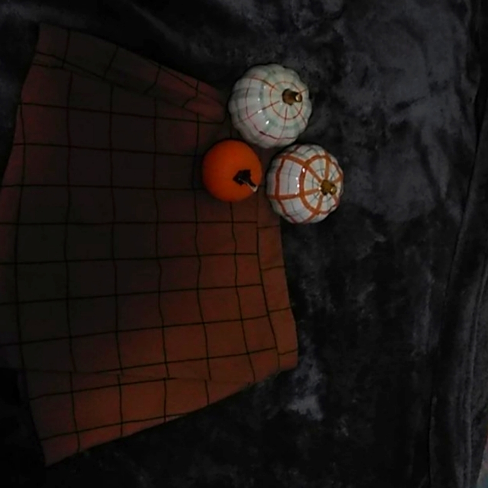 A brown plaid skirt(pumpkins not included)